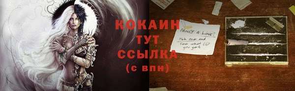 индика Нязепетровск
