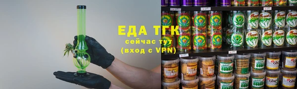 индика Нязепетровск