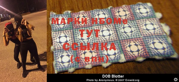 MDMA Premium VHQ Новокубанск