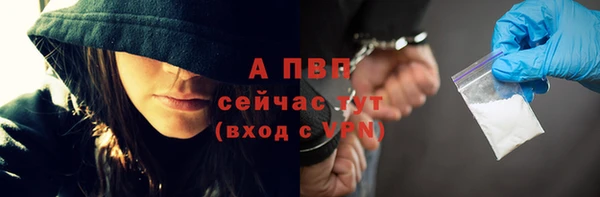 индика Нязепетровск