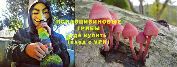 индика Нязепетровск