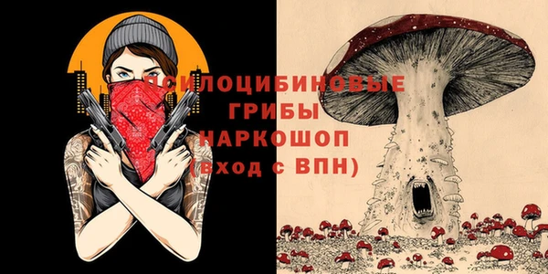 твердый Новозыбков