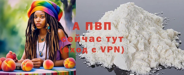 твердый Новозыбков