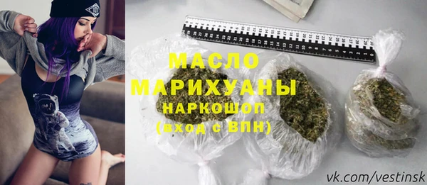 индика Нязепетровск