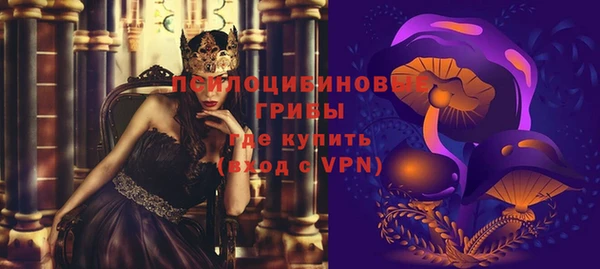 индика Нязепетровск