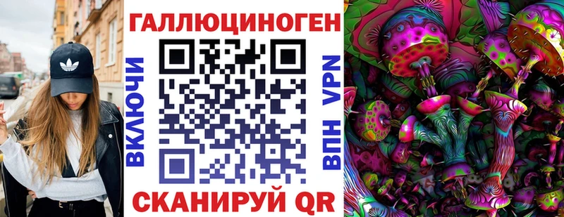 Псилоцибиновые грибы Psilocybe  Киселёвск 